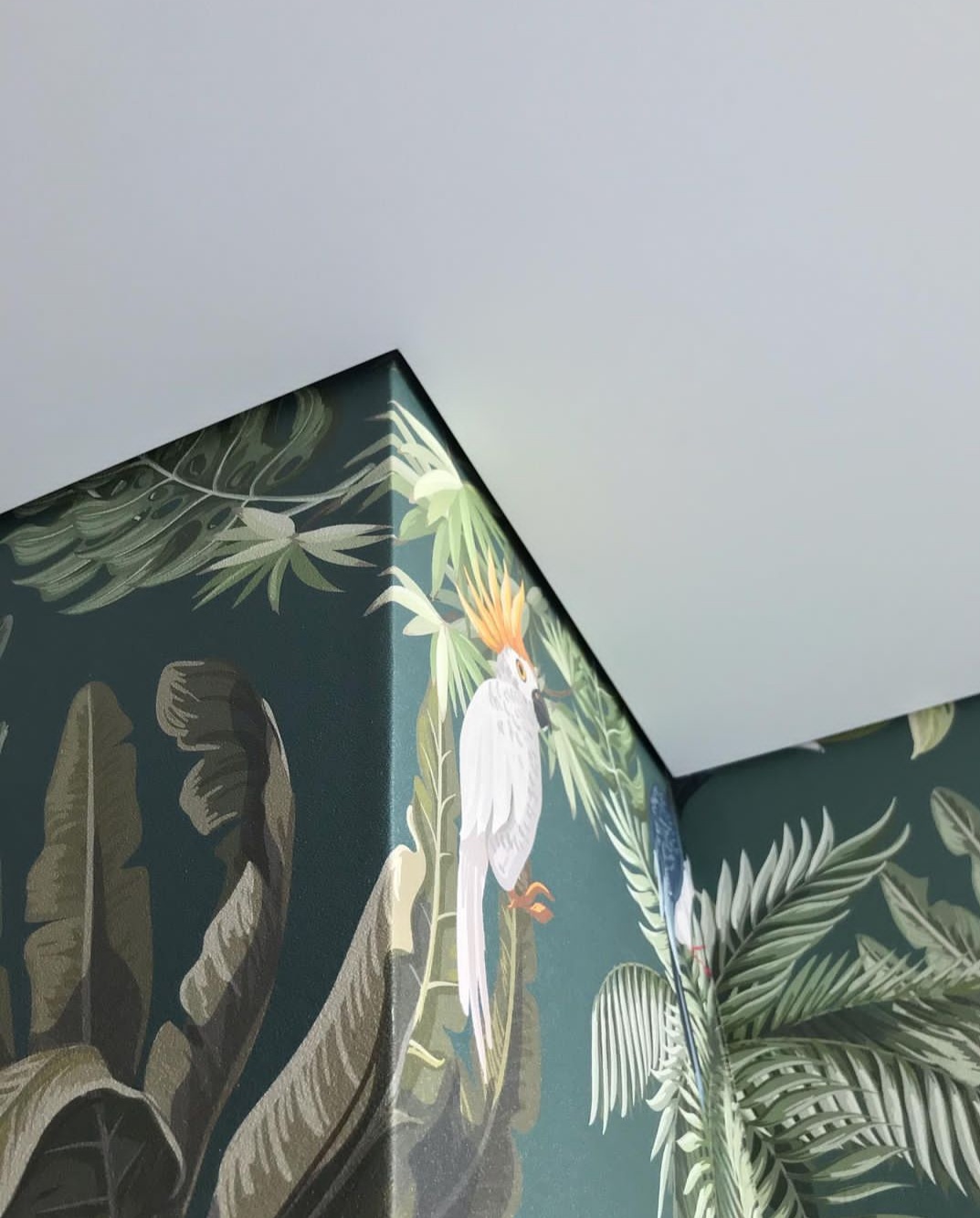 теневые натяжные потолки